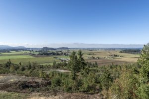AvalonWay7622-mcmanusphoto_0010-min
