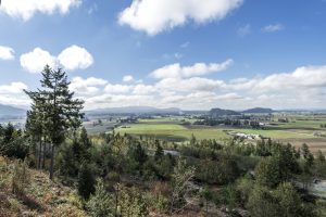 AvalonWay7622-mcmanusphoto_0181-min