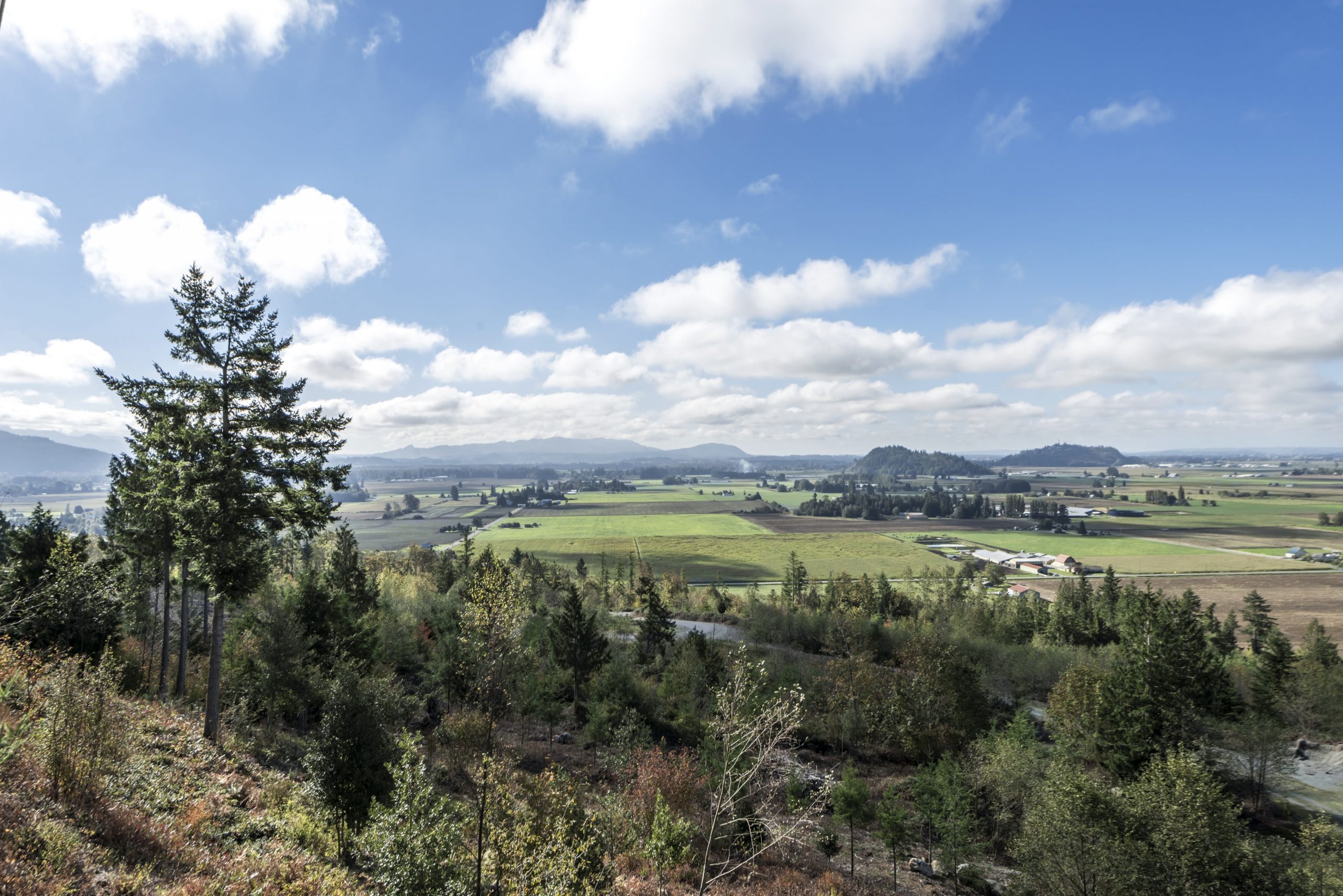 AvalonWay7622-mcmanusphoto_0181-min