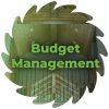 why build piazza - budget management-min