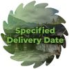 why build piazza - specified delivery date-min